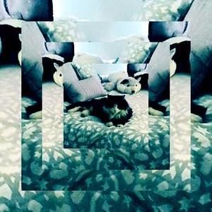 Meet your Posher, Monique